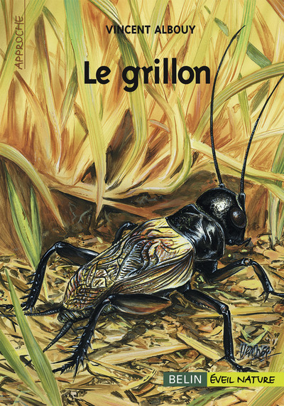 Picture of Le grillon