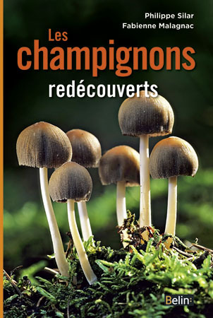 Image de Les champignons redécouverts