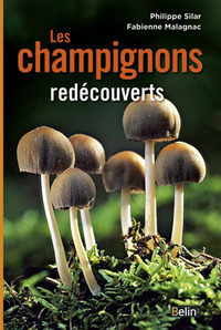 Image de Les champignons redécouverts