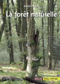 Picture of La forêt naturelle