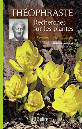 Image de Théophraste. Recherches sur les plantes