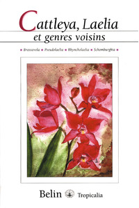 Image de Cattleya  Laelia et genres voisins