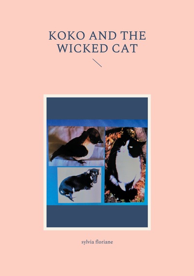 Image de Koko and the wicked cat