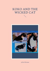 Image de Koko and the wicked cat