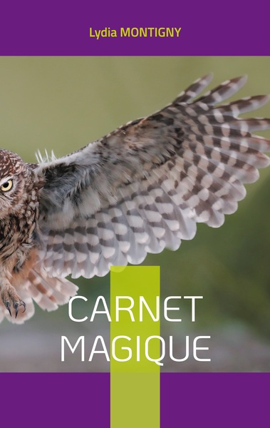 Image de Carnet magique