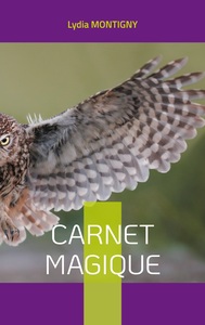 Image de Carnet magique