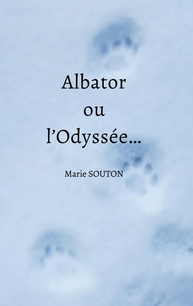 Image de Albator ou l'Odyssée...