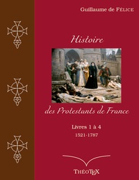 Image de Histoire des Protestants de France, livres 1 à 4 (1521-1787)