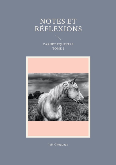 Picture of Notes et réflexions