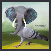 Picture of CHIMERES