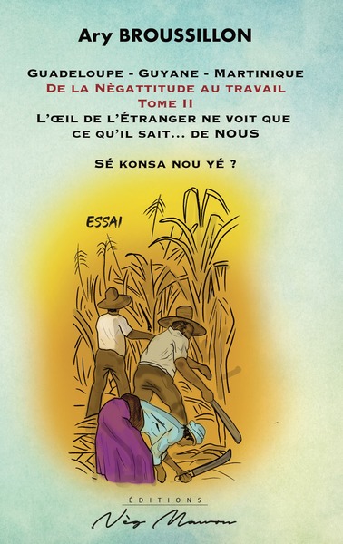 Picture of De la Nègattitude au travail, Tome 2