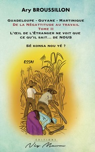 Picture of De la Nègattitude au travail, Tome 2