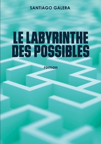 Picture of Le Labyrinthe des possibles