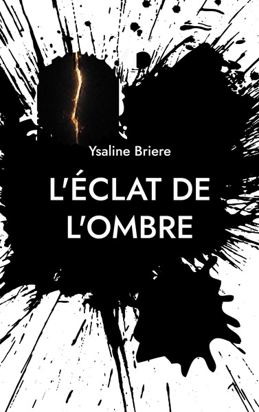 Image de L'éclat de l'ombre