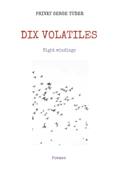 Picture of DIX VOLATILES