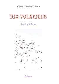 Picture of DIX VOLATILES
