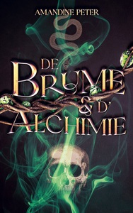 Image de De brume et d'alchimie