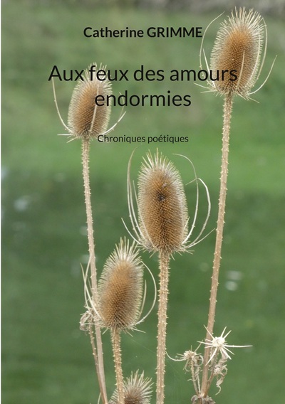 Picture of Aux feux des amours endormies