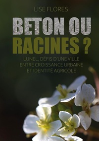 Image de Béton ou Racines ?