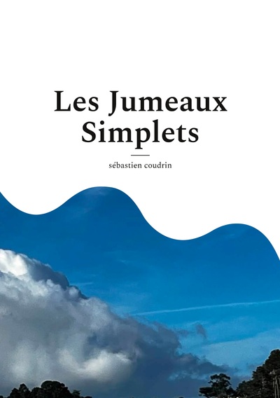 Picture of Les Jumeaux Simplets