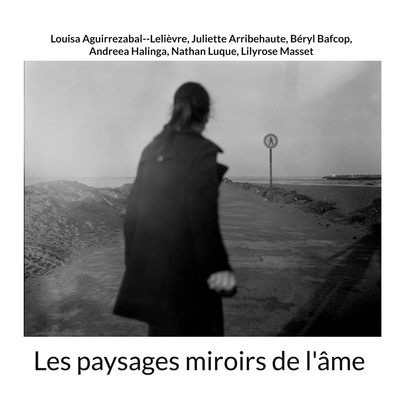 Image de Les paysages miroirs de l'âme