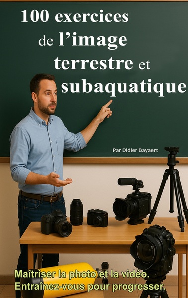 Picture of 100 exercices de l'image terrestre et subaquatique