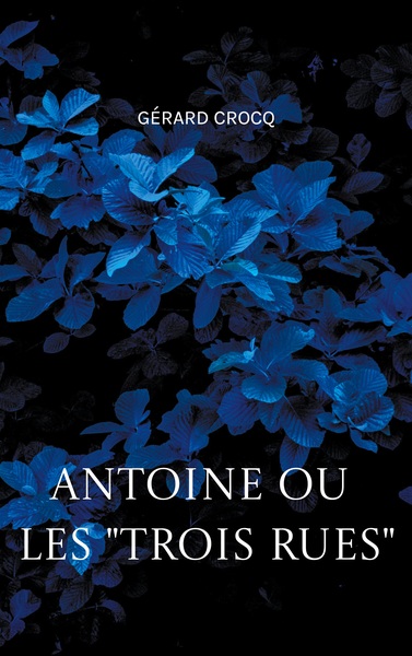 Image de Antoine ou les "Trois Rues"