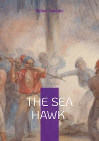 Picture of The Sea Hawk