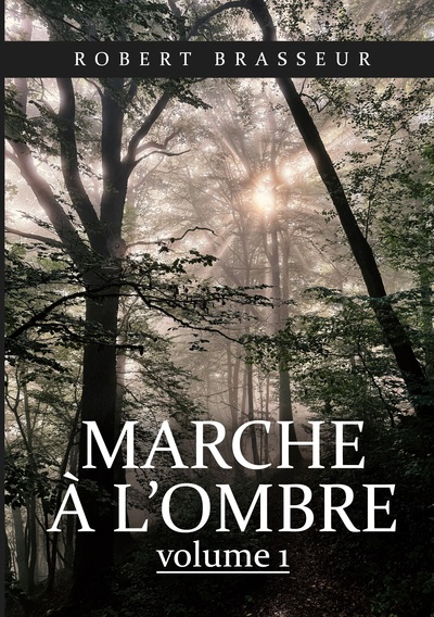 Image de Marche à l'ombre