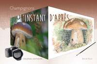 Image de Champignons : l'Instant d'Après
