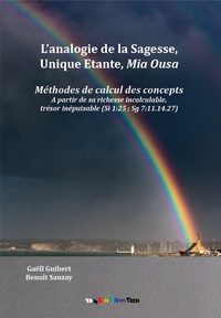 Picture of L'analogie de la Sagesse, Unique Etante, Mia Ousa. Méthodes de calcul des concepts (...)
