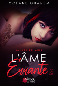 Image de L'âme errante