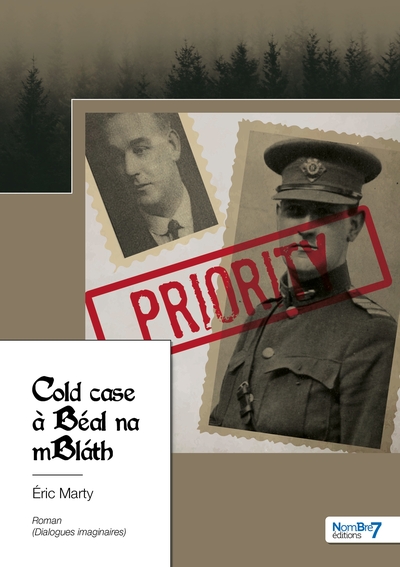 Image de Cold case à Béal na mBláth