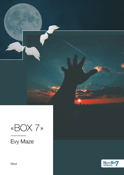 Picture of « BOX 7 »