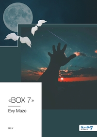 Picture of « BOX 7 »