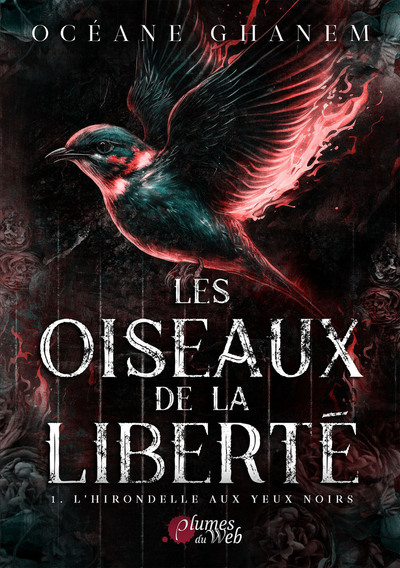 Picture of Les oiseaux de la liberté - Tome 01 L'hirondelle aux yeux noirs