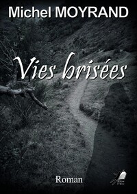 Picture of Vies Brisées