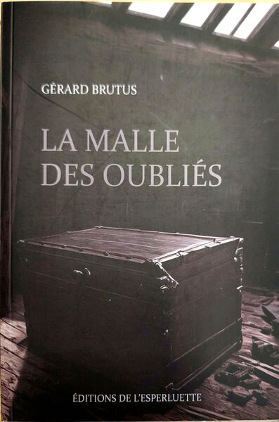 Image de LA MALLE DES OUBLIES