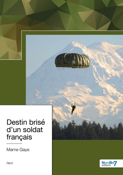 Picture of Destin brisé d'un soldat français