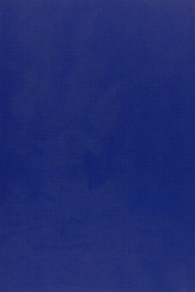 Image de Saint-Julien de Balleur, historien bourguignon 1519 - 1593 (1926).