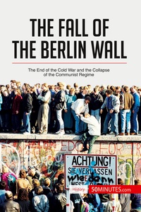 Image de The Fall of the Berlin Wall