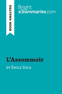 Picture of L'Assommoir by Émile Zola (Book Analysis)