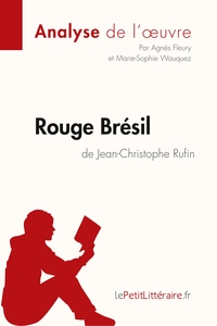 Image de Rouge Brésil de Jean-Christophe Rufin (Analyse de l'oeuvre)