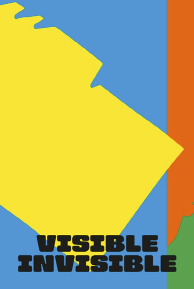 Picture of Visible Invisible