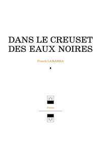 Image de Dans le creuset des eaux noires