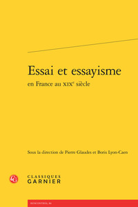 Image de Essai et essayisme