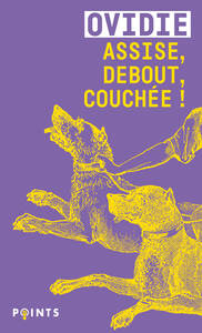 Image de Assise, debout, couchée !