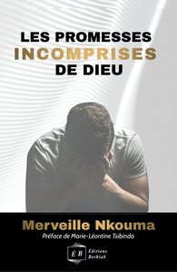 Picture of Les promesses incomprises de Dieu