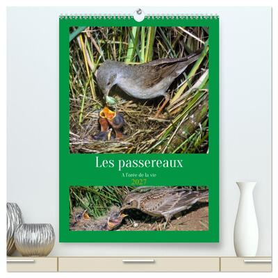 Picture of Les passereaux à l'orée de la vie (Calendrier mural haut de gamme 2027 DIN A2 horizontal), CALVENDO calendrier mensuel