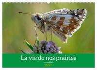 Image de La vie de nos prairie, les papillons (Calendrier mural 2027 DIN A2 vertical), CALVENDO calendrier mensuel